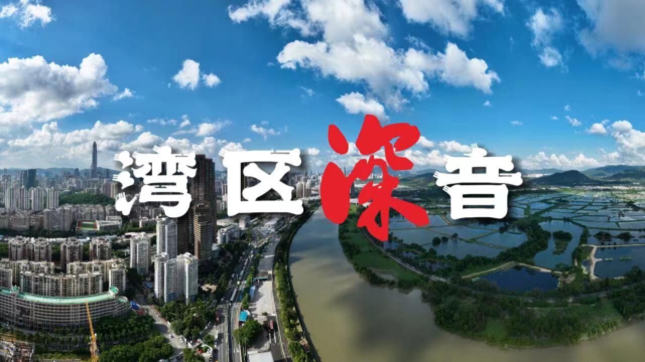 湾区深音 | 朱嘉明:粤港澳大湾区国家算力枢纽如何建