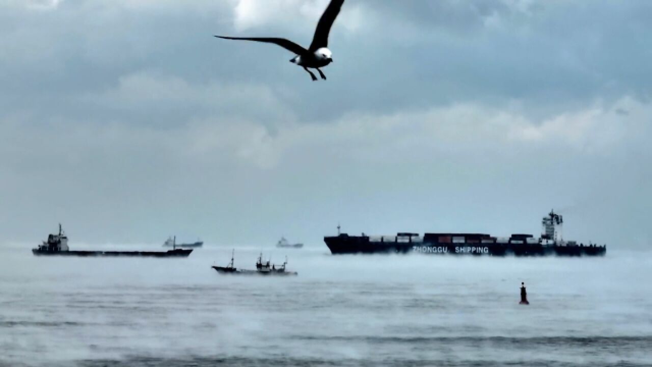 大海开锅了!青岛海域惊现“海浩”奇观