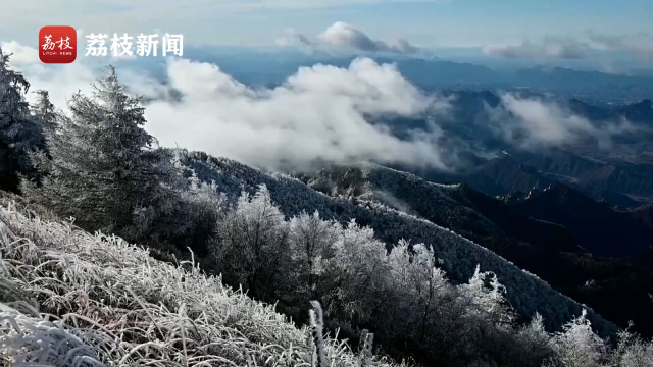 北国风光!河北雾灵山雪后万树“花开”如琼树银花