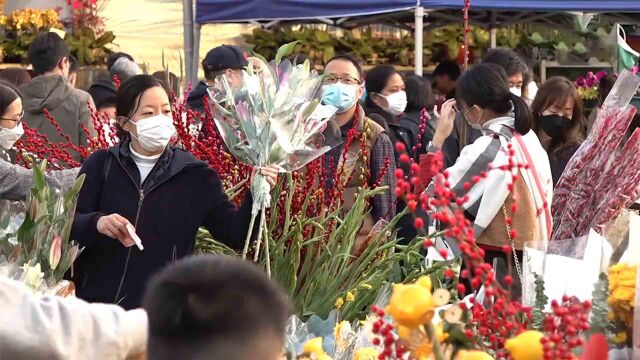 香港市民逛花市买年花:盼新年到内地 多看看祖国大好风光