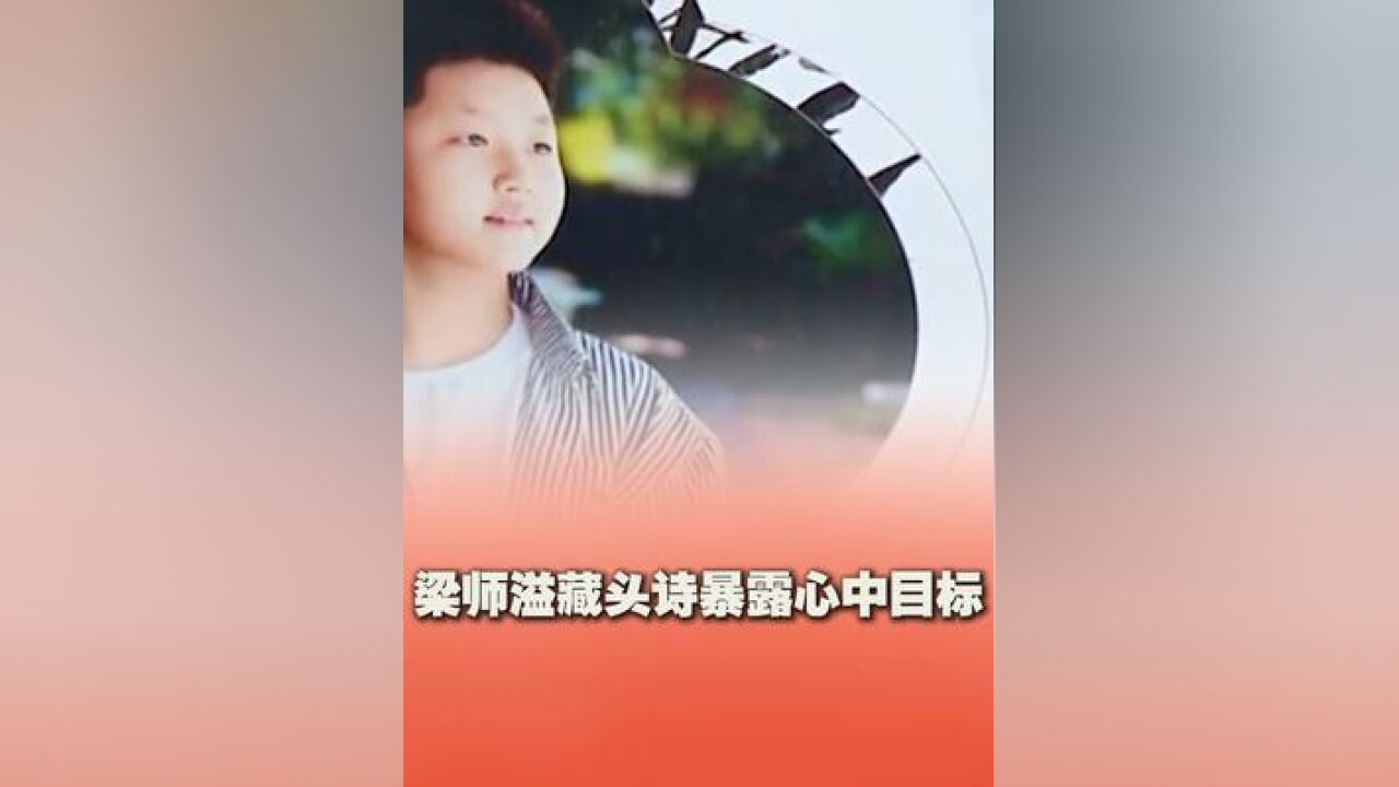 #12岁小孩哥出个人诗词作品集 12岁少年出个人诗集,导师杨雨发现藏头诗秘密,暴露少年内心的目标.