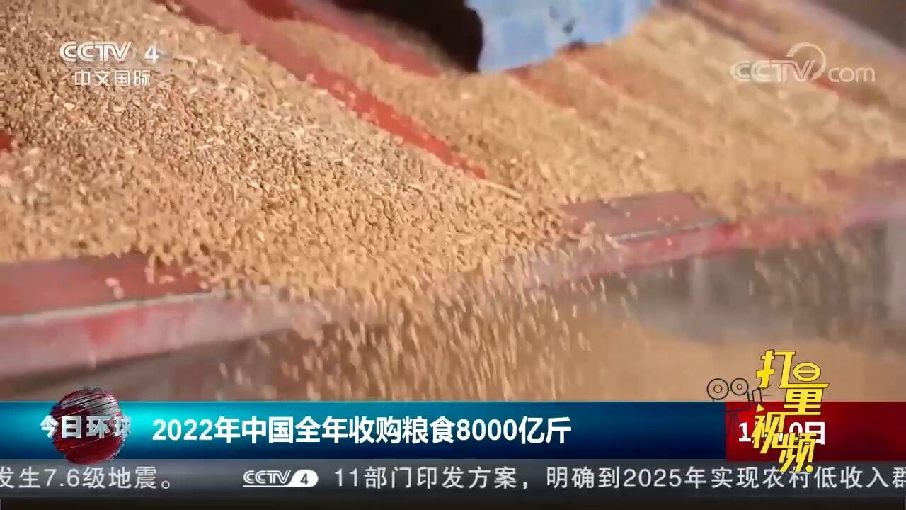 国家粮食和物资储备局:2022年中国全年收购粮食8000亿斤