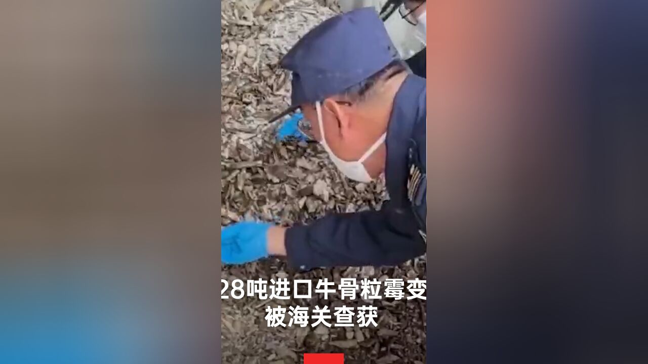 28吨进口牛骨粒霉变被海关查获