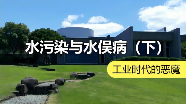 塑料生产为何引起中毒:400号猫的实验将揭晓迷雾 | 化学有故事2