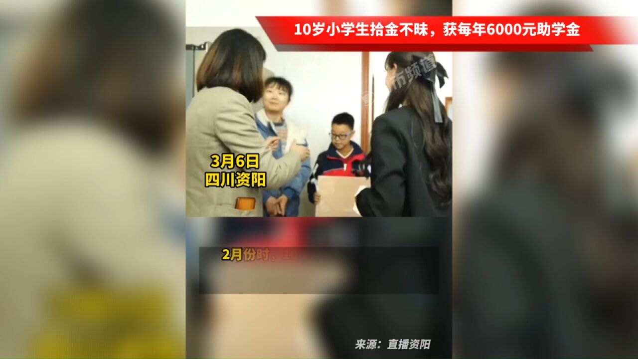 10岁小学生拾金不昧,获每年6000元助学金