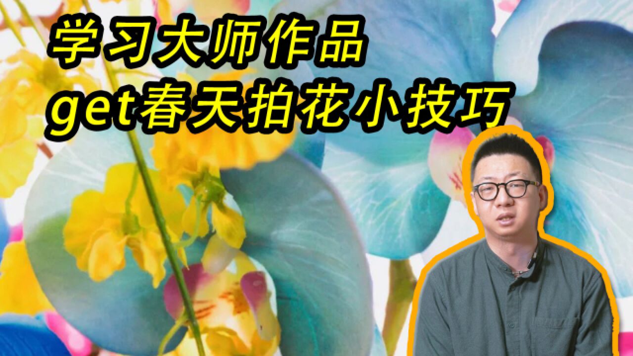 一起看花花世界 |学习大师作品,get春天拍花小技巧