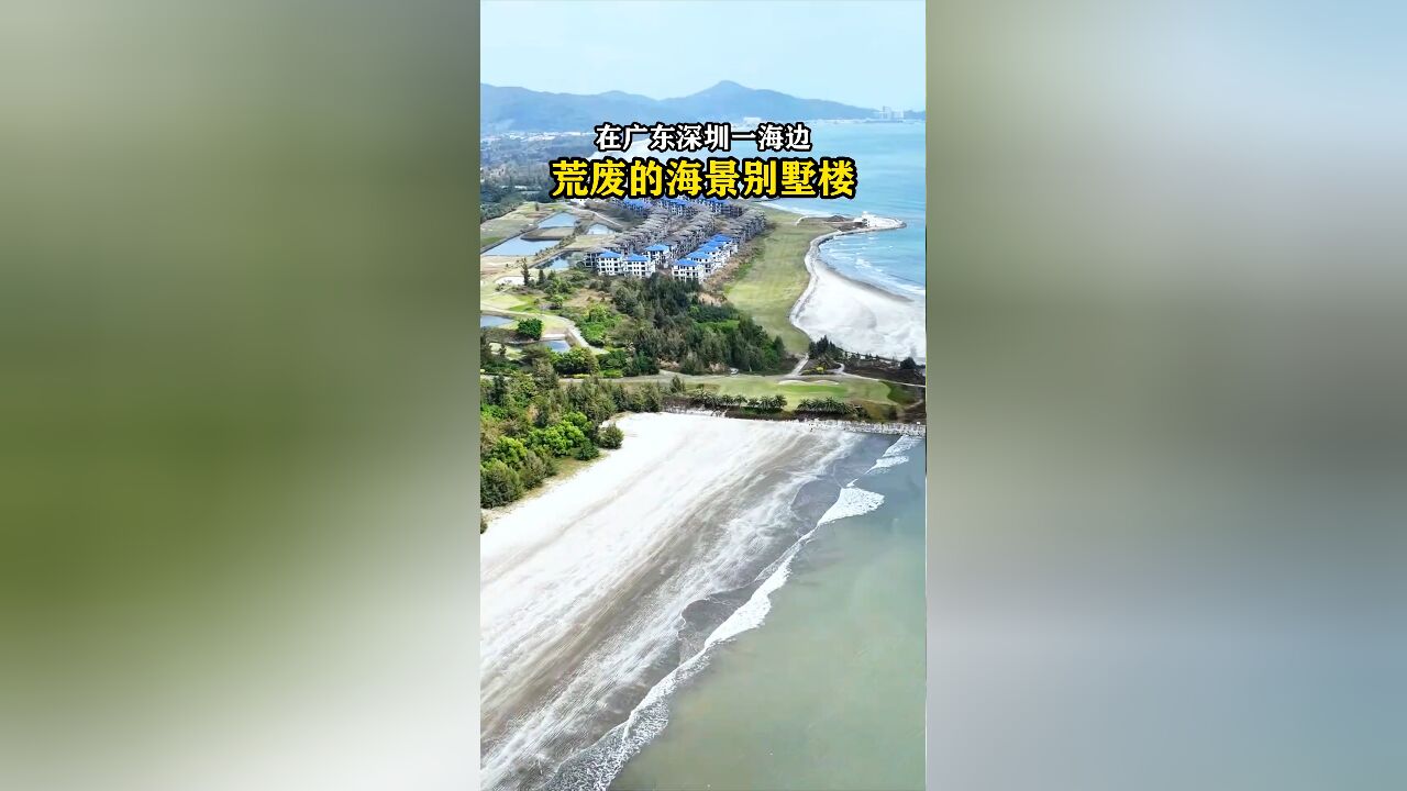 海边发现上百套海景别墅楼无人居住,杂草丛生,一片荒芜的景象