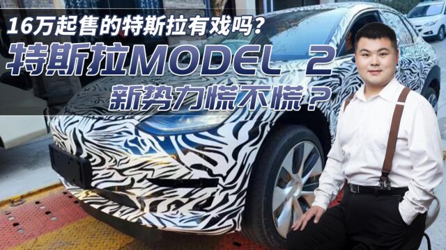 重磅!16万起售的特斯拉有戏吗?特斯拉“Model 2”真要来了?