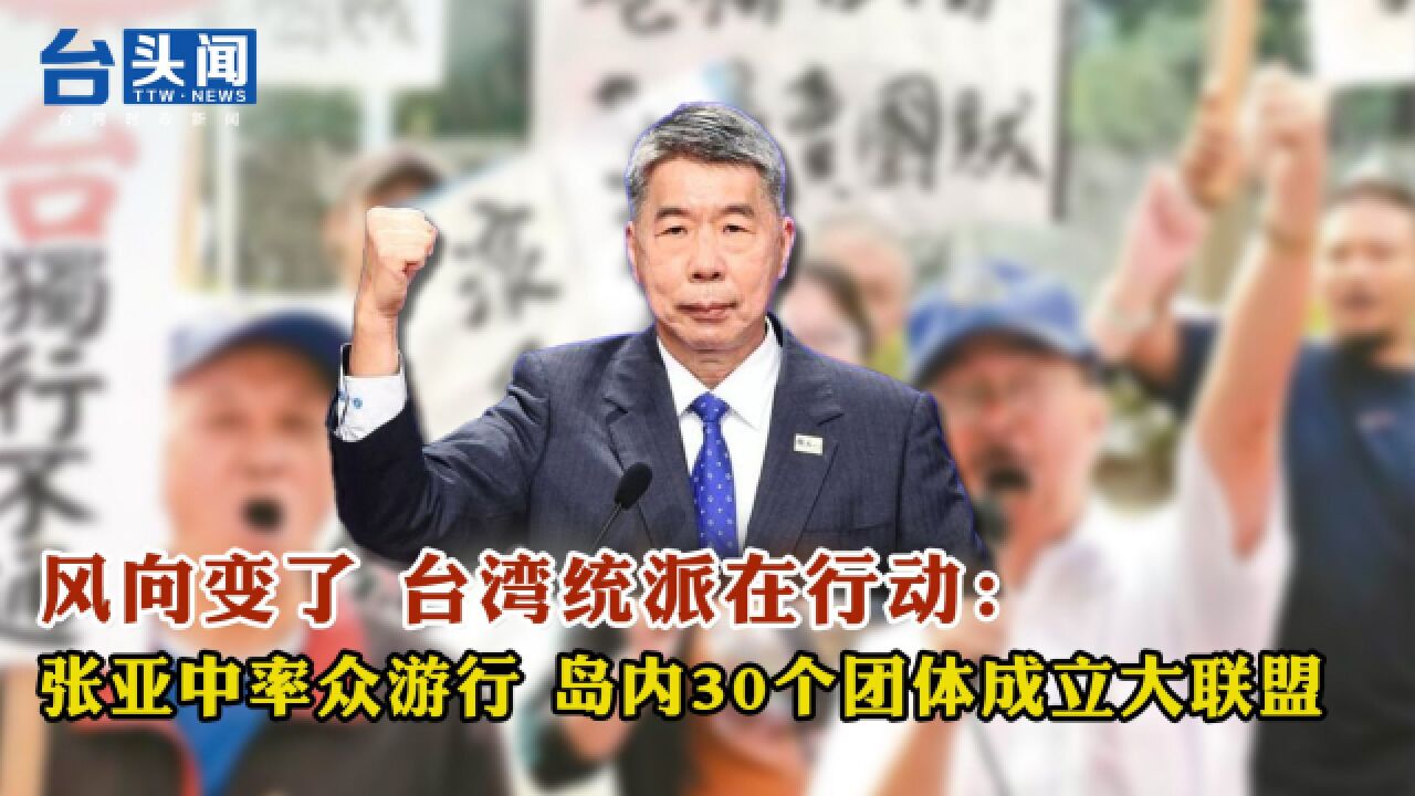 风向变了 台湾统派在行动:张亚中率众游行 岛内30个团体成立大联盟