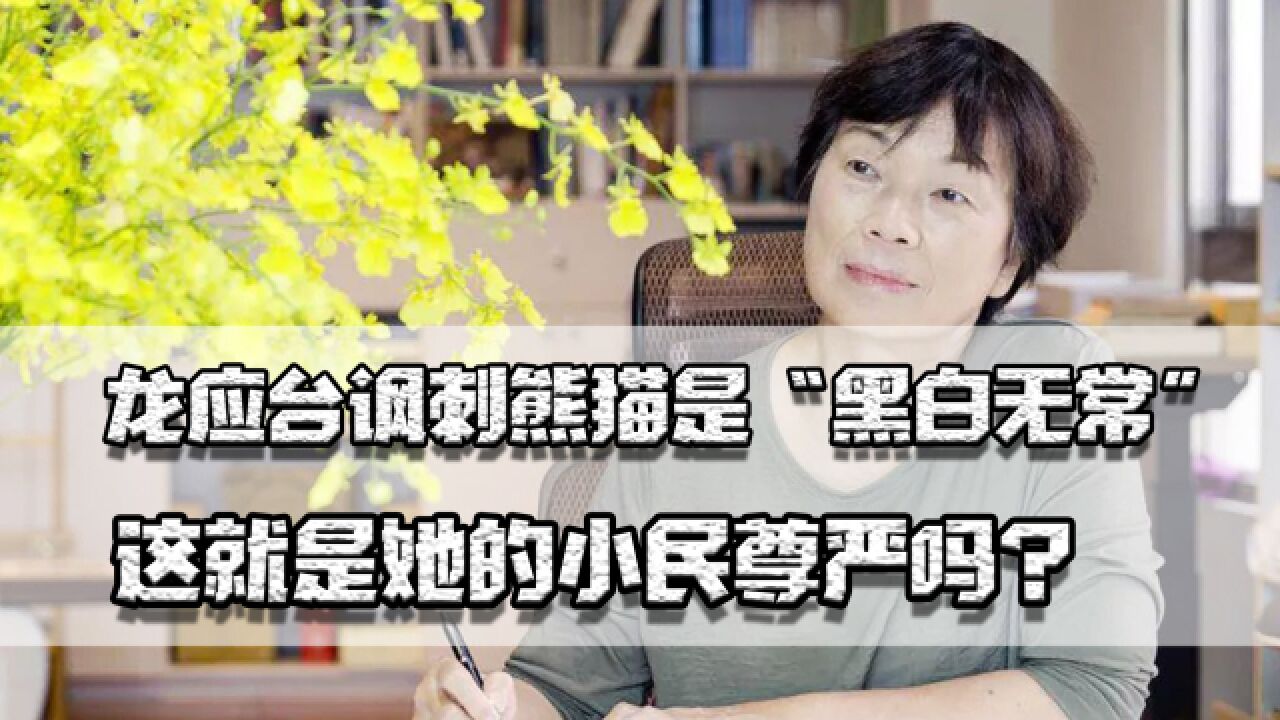 揭龙应台丑恶嘴脸,讽刺熊猫是“黑白无常”,这是她的小民尊严吗