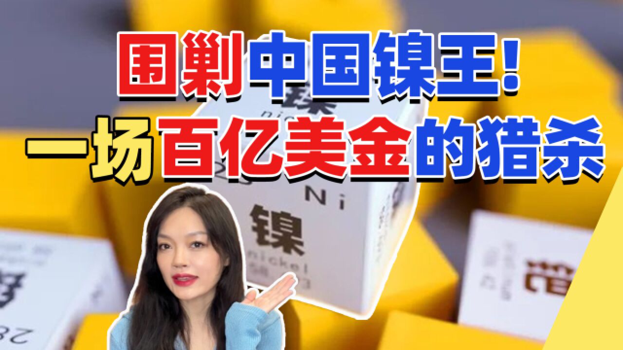 制霸印尼矿战,带崩整个交易所,还是中国人会造镍啊【未来加电站02】