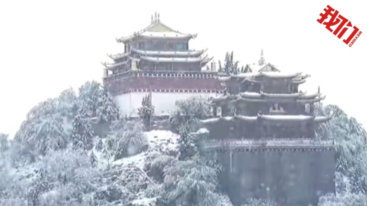 云南迪庆州香格里拉下大雪:樱花杜鹃花在雪中绽放 美如童话世界