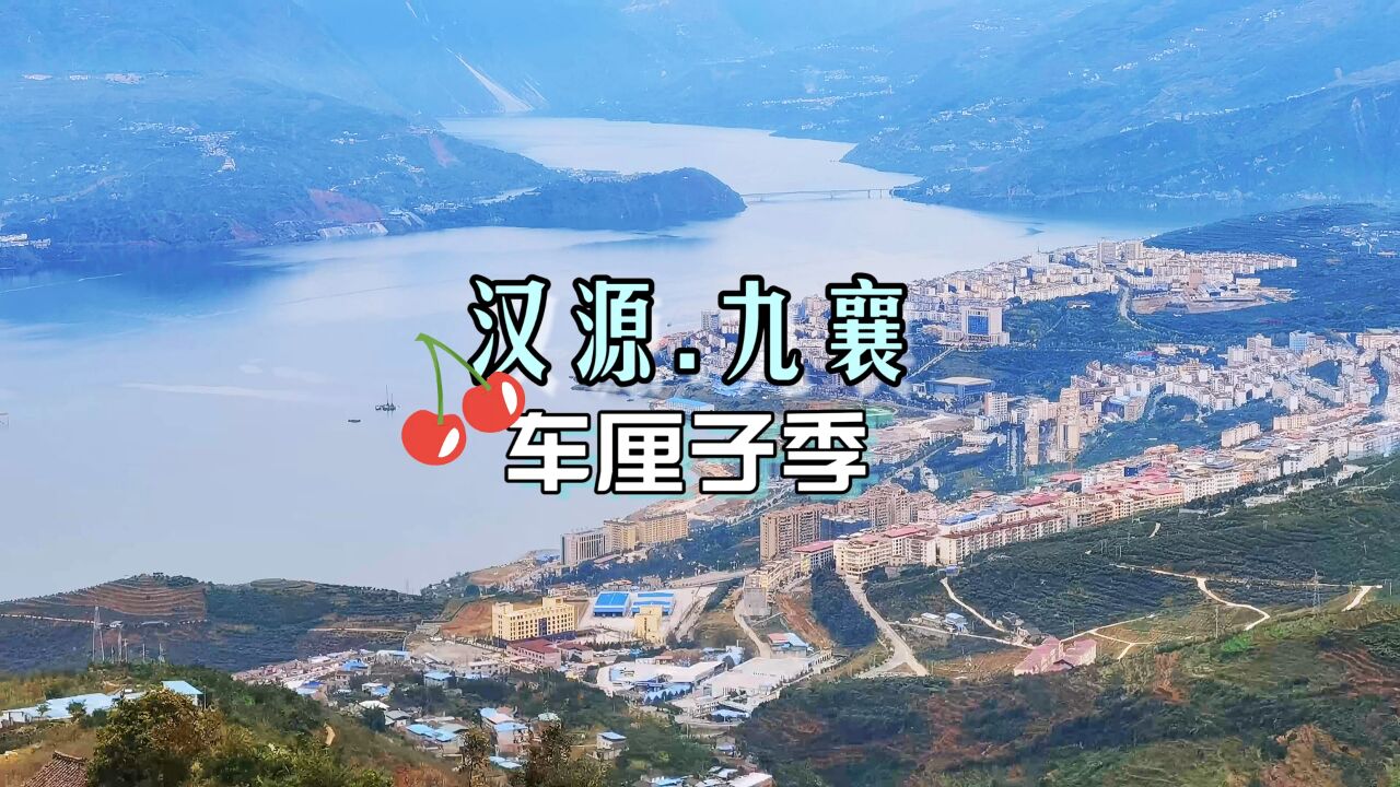 汉源九襄车厘子已经成熟了,成都可以当日往返来一次美食之旅