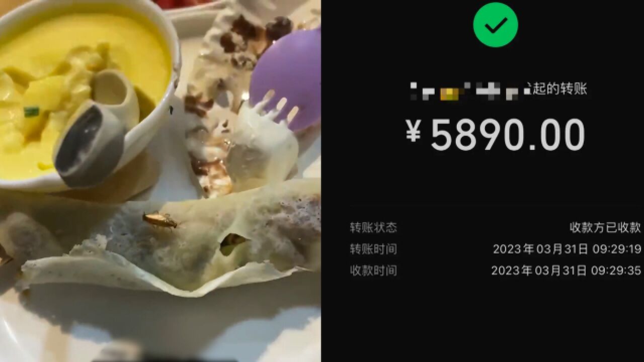 顾客吃自助发现食物上有蟑螂,维权获10倍赔偿5890元,已停业整顿