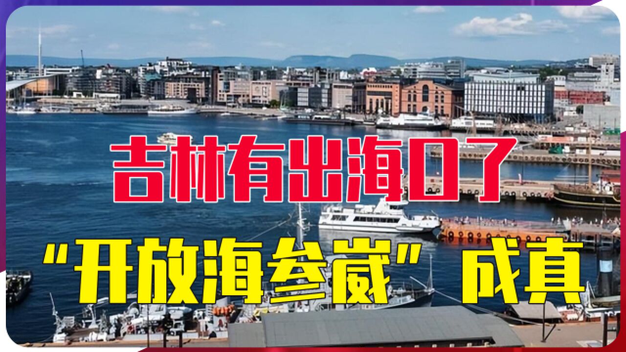 吉林有出海口了!中国智库向俄副总理呼吁“开放海参崴”成真