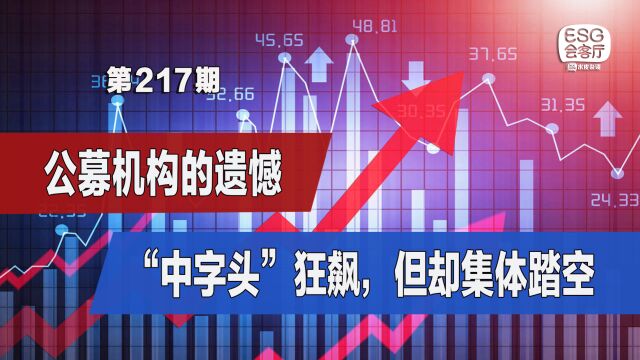 “中字头”狂飙,集体踏空的公募机构,错过了什么?