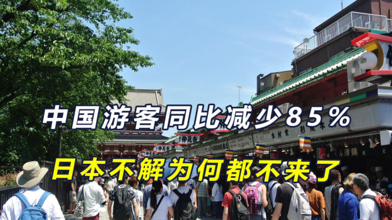 日本发布旅游数据,中国游客同比减少85%,日方不解为何都不来了