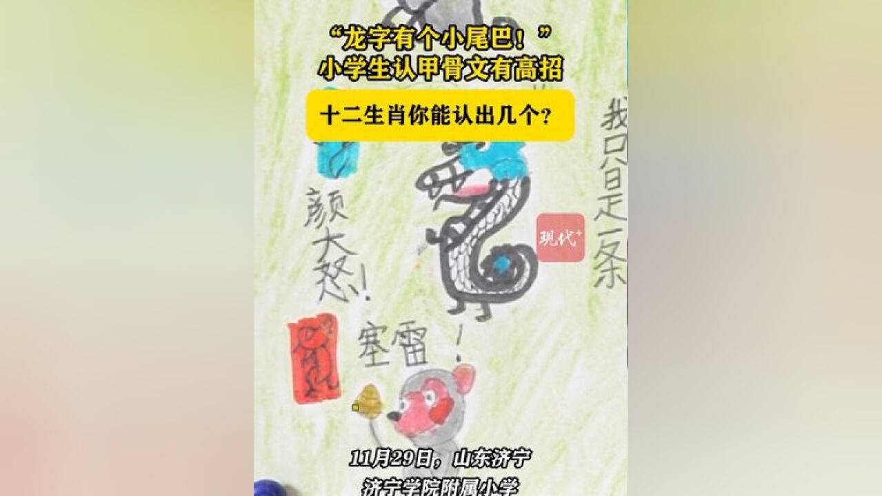 “龙字有个小尾巴!”小学生认甲骨文有高招,十二生肖你能认出几个?