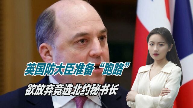 毫无胜算希望,英国防大臣准备“跑路”,欲放弃竞选北约秘书长