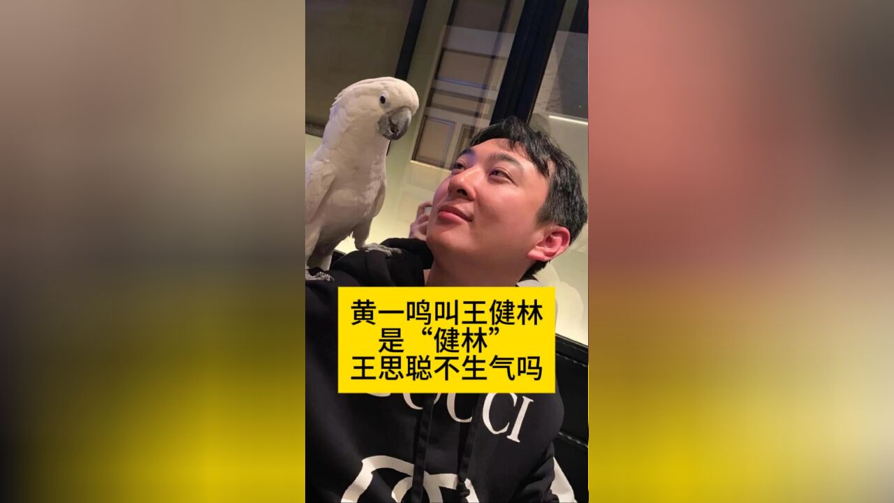 黄一鸣叫王健林是“健林”,王思聪不生气吗