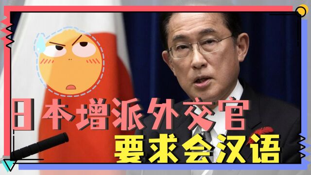 砸钱不够还出新活儿,日本外务省增加外交官人数,重点是应对中国