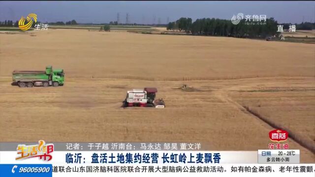 “闲田”变忙田!临沂盘活土地集约经营,助力集体,增加村民收益