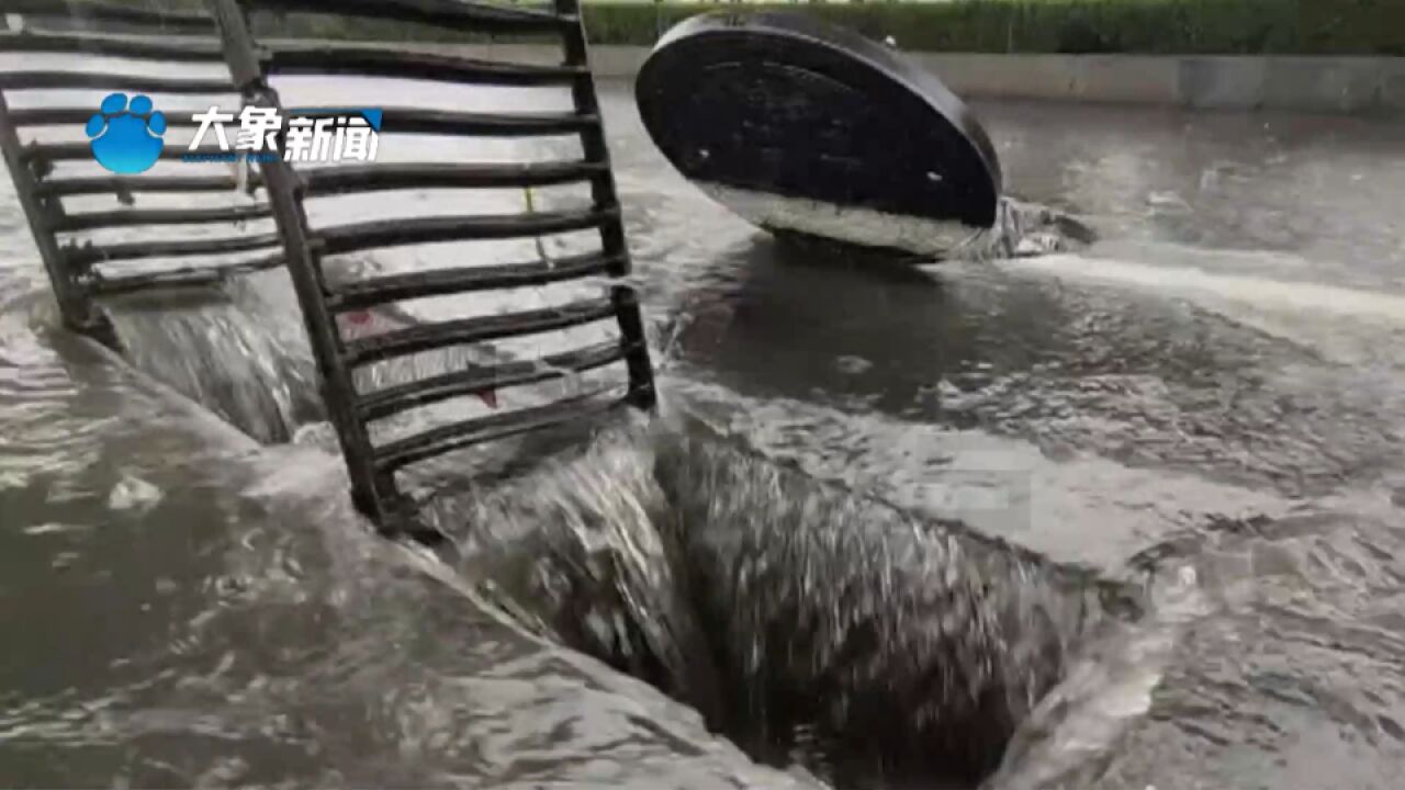 暴雨来袭,安阳市启动市级防汛二级响应,“大暴雨要做到足不出户”