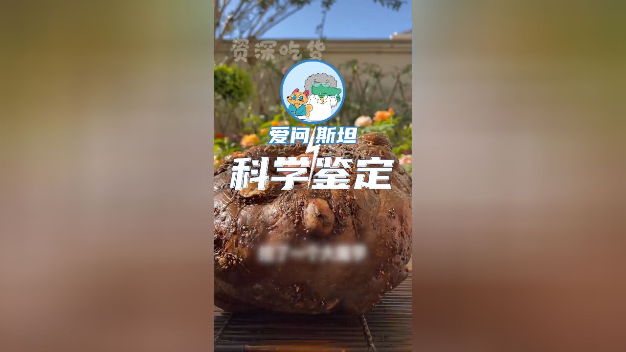 爱问斯坦鉴定室|为什么吃口魔芋这么麻烦?背后原理了解一下