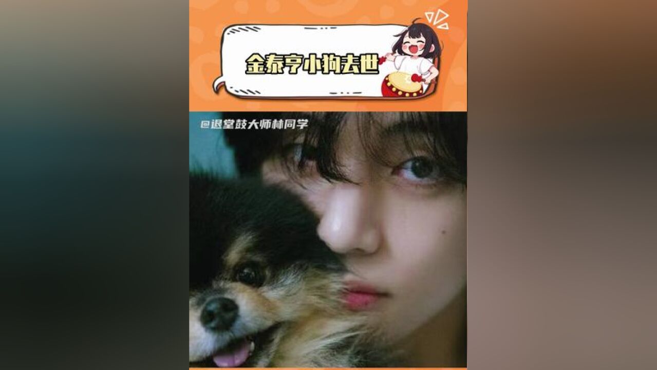 金泰亨爱犬去世 希望金碳在小狗星球也要过的幸福