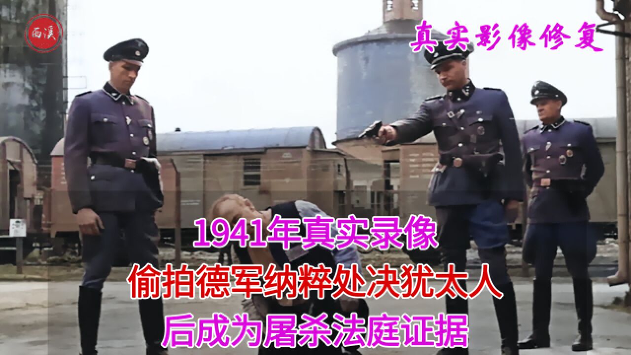 1941年真实录像,偷拍德军纳粹枪决犹太人,男女被脱光衣服羞辱