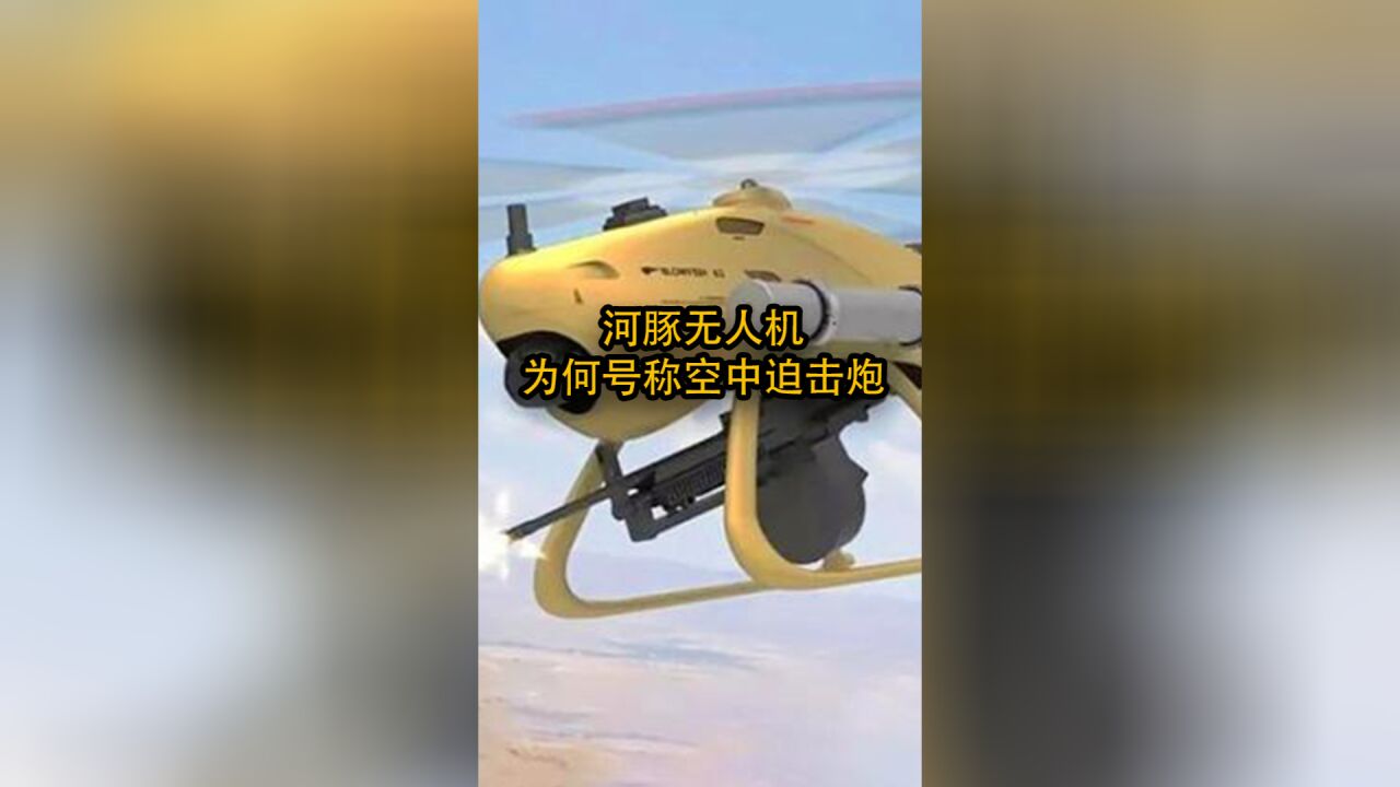 河豚无人机,为何号称“空中迫击炮”?