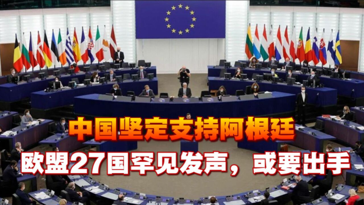 中国坚定支持阿根廷,收回马岛主权,欧盟27国罕见发声,或要出手