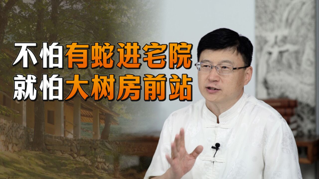 “不怕有蛇进宅院,就怕大树房前站”,门前不宜种树?科学吗?