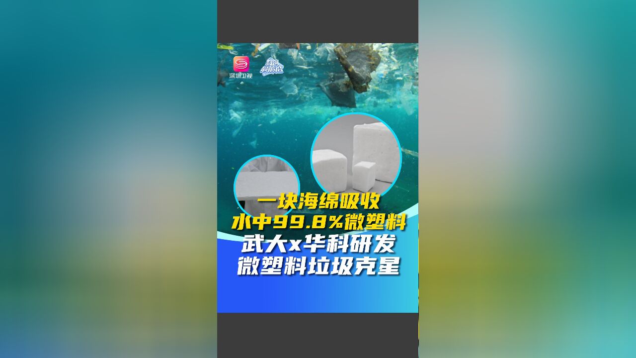 一块海绵吸收水中99.8%微塑料 武大x华科研发微塑料垃圾克星