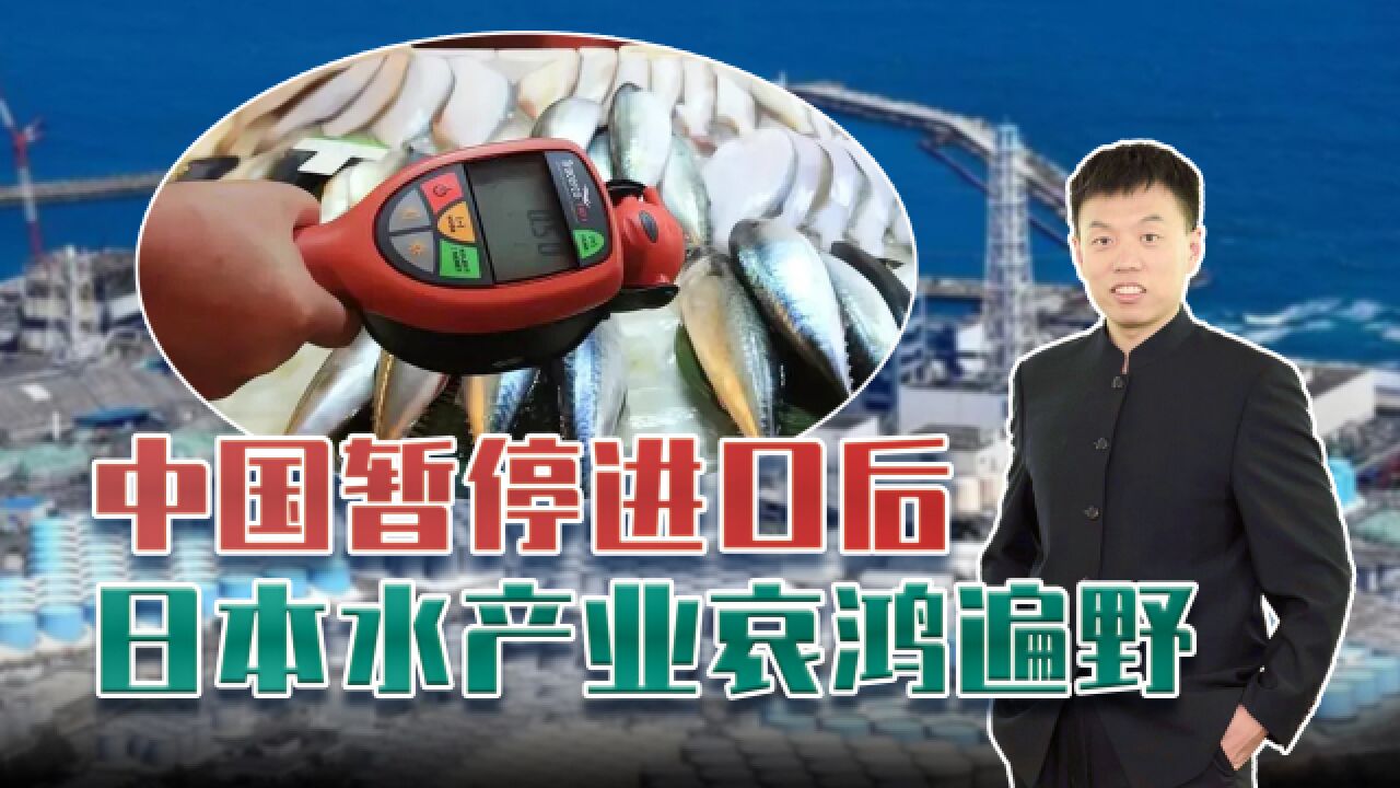 中国禁止进口日本水产,日本国内“哀声遍野”,为何还要坚持排海?