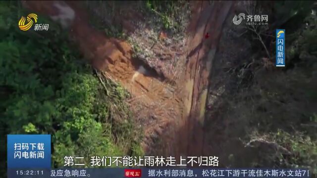 巴西环境部长呼吁亚马孙流域国家共同行动,保护雨林生物多样性