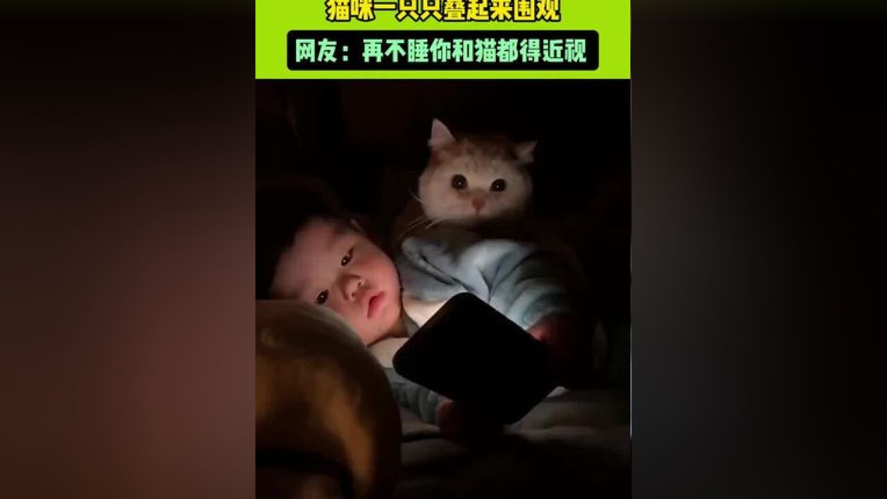 萌娃晚上不睡觉偷看动画片引来众猫围观.网友:再不睡你和猫都得近视 #萌娃 #猫咪 #搞笑