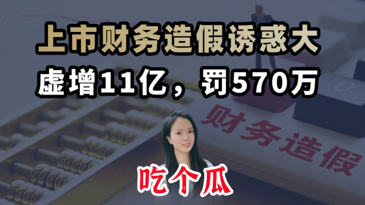 上市财务造假诱惑大 虚增11亿 罚570万