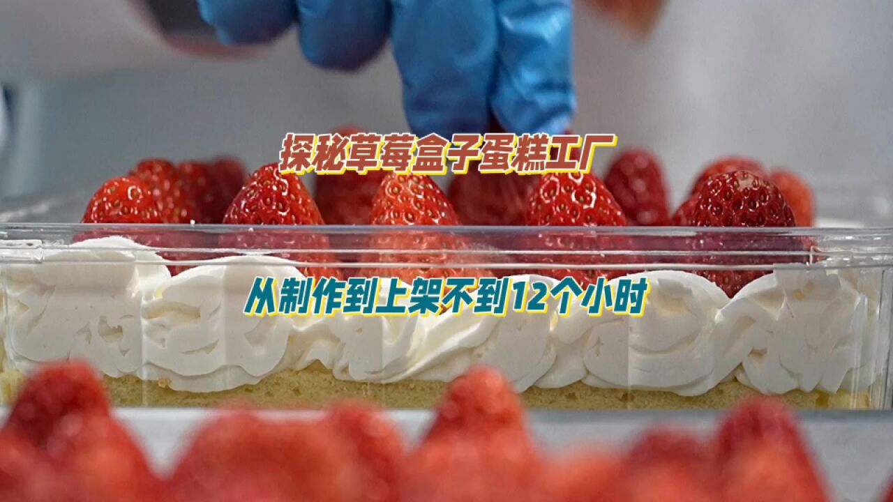 探秘草莓盒子蛋糕工厂!从制作到上架不到12个小时