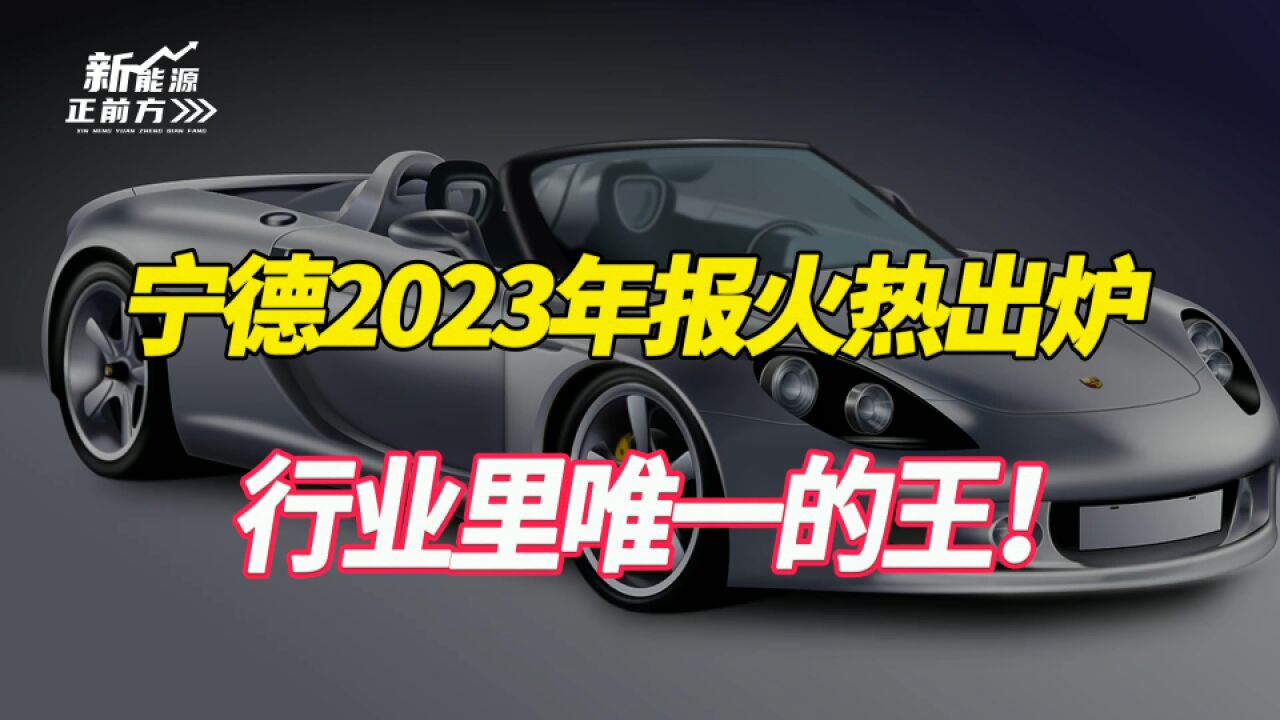 逆天业绩,行业里唯一的王!关键已经不能更便宜了!