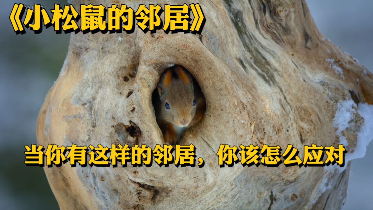 当你也有这样的邻居,你会怎么应对