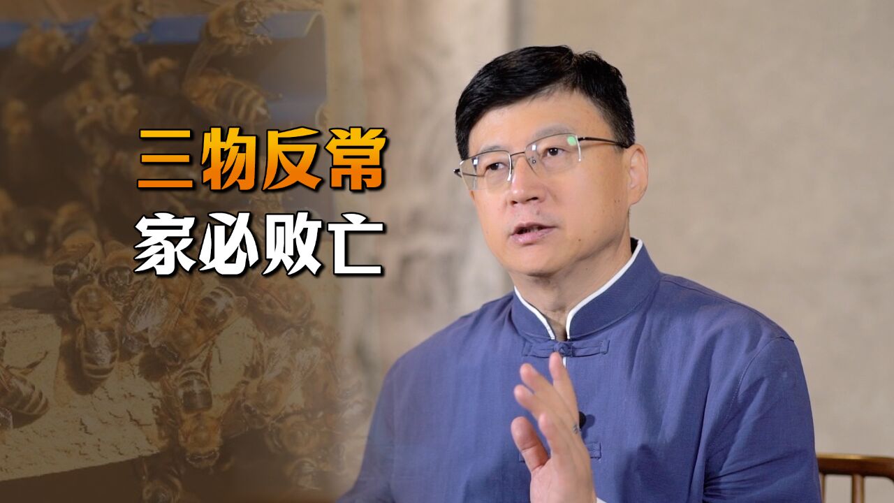 “三物反常,家必败亡”,这3种常见的动物,你留意过吗?