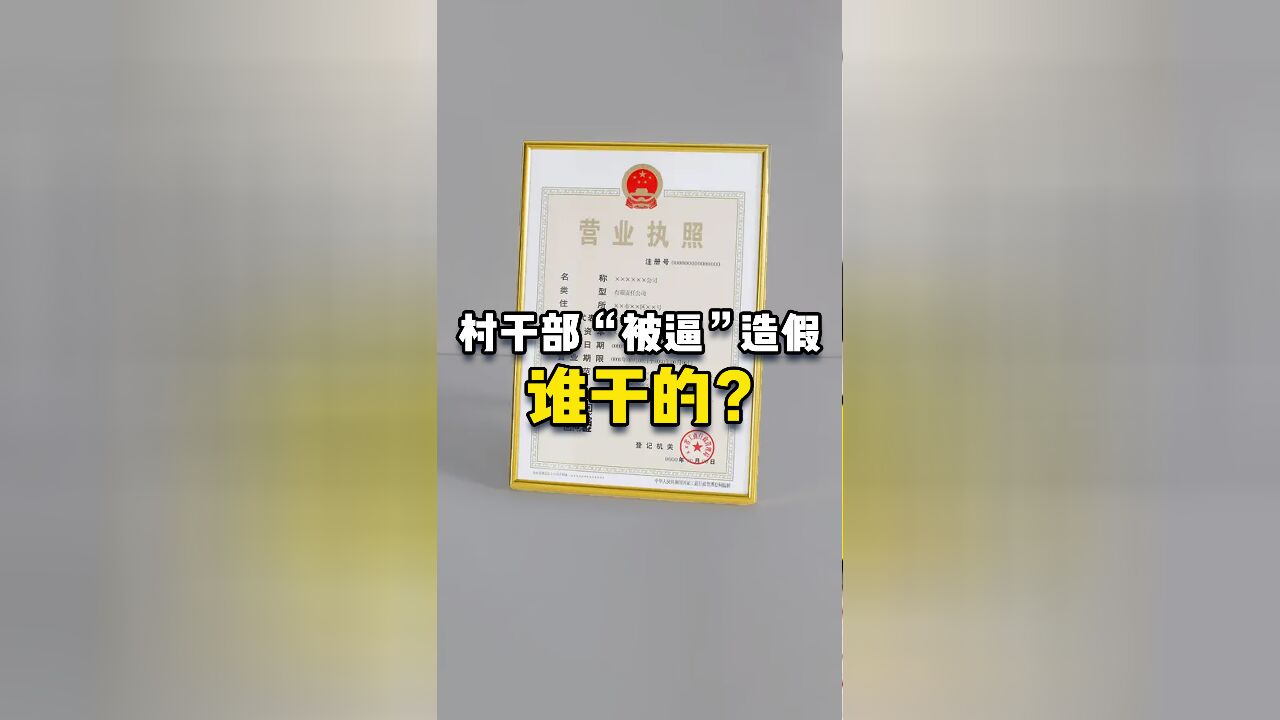 一人注册23家公司!谁在逼村干部造假?