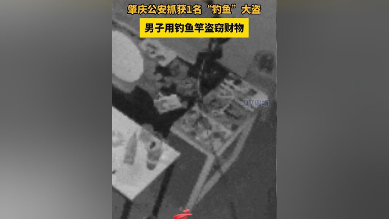 肇庆公安抓获1名“钓鱼”大盗,男子用钓鱼竿盗窃财物