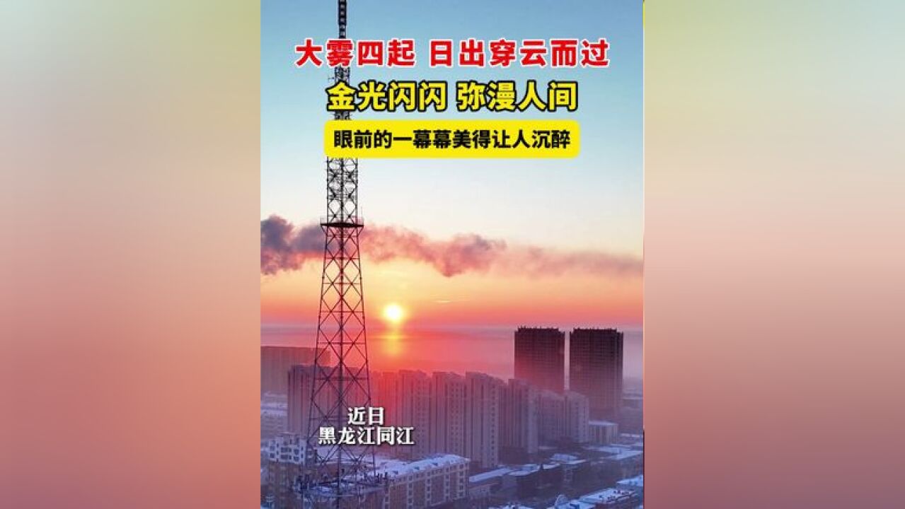 大雾四起 日出穿云而过,金光闪闪 弥漫人间,眼前的一幕幕美得让人沉醉