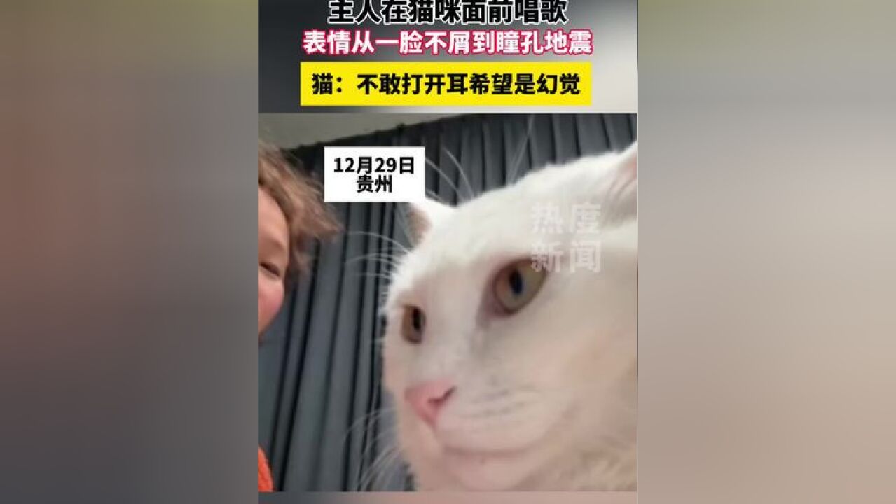 主人在姐妹们面前唱歌,表情从一脸不屑到瞳孔地震,猫:不敢打开耳希望是幻觉