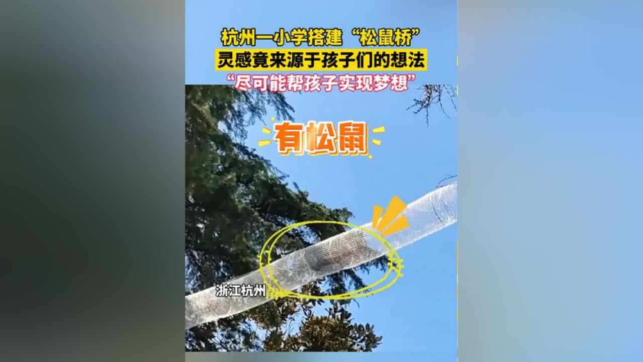 杭州一小学搭建“松鼠桥”,灵感竟来源于孩子们的想法,“尽可能帮孩子实现梦想”