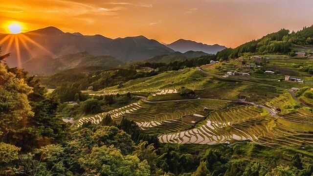 新土地法出台:宅基地有这三大调整,不懂的农民朋友快看看吧