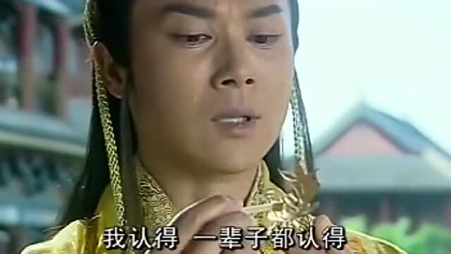 司马玉龙复国后听闻母后尚在人间,决议微服私访寻找母后!