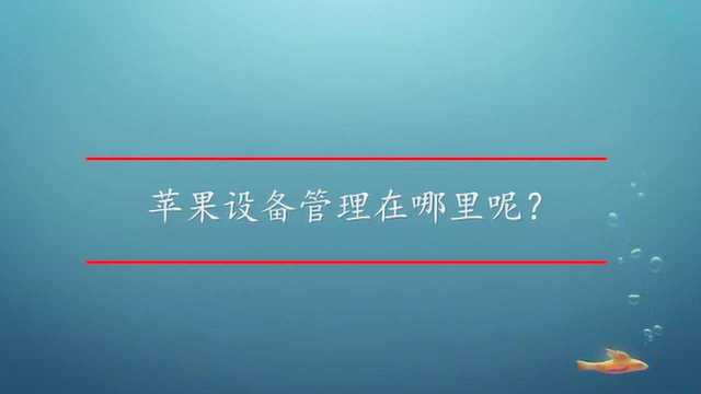 苹果设备管理在哪里呢?